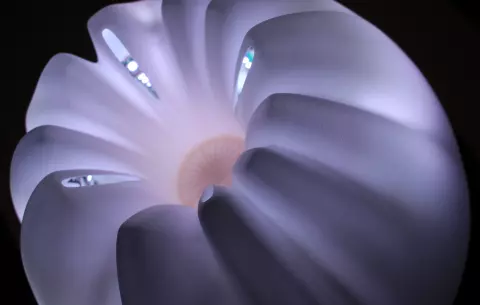Terra Data et Spoon