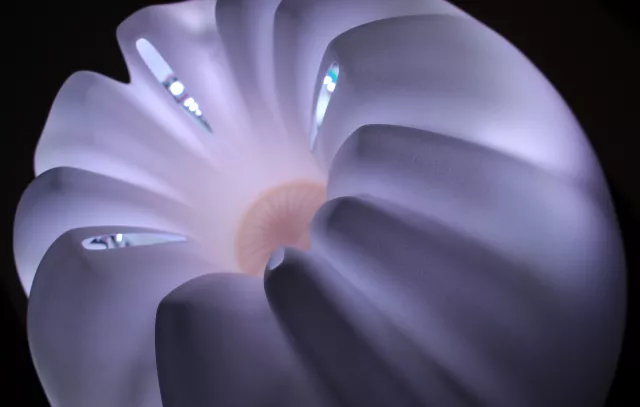 Terra Data et Spoon