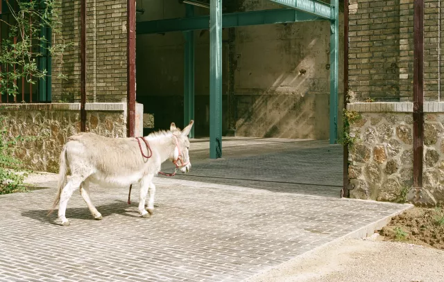 Nouvelle Ferme de la Villette