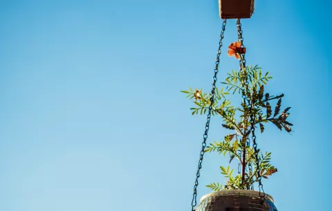 Réouverture Estivale Jardin21