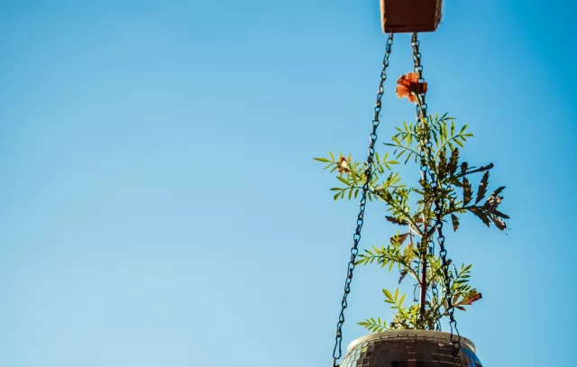 Réouverture Estivale Jardin21