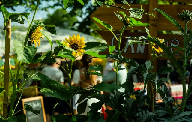 Jardin21- Saison 2024